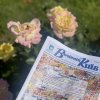 Кафедра міжнародної журналістики взяла участь у підготовці п’ятого числа друкованого видання «Вечірній Київ»